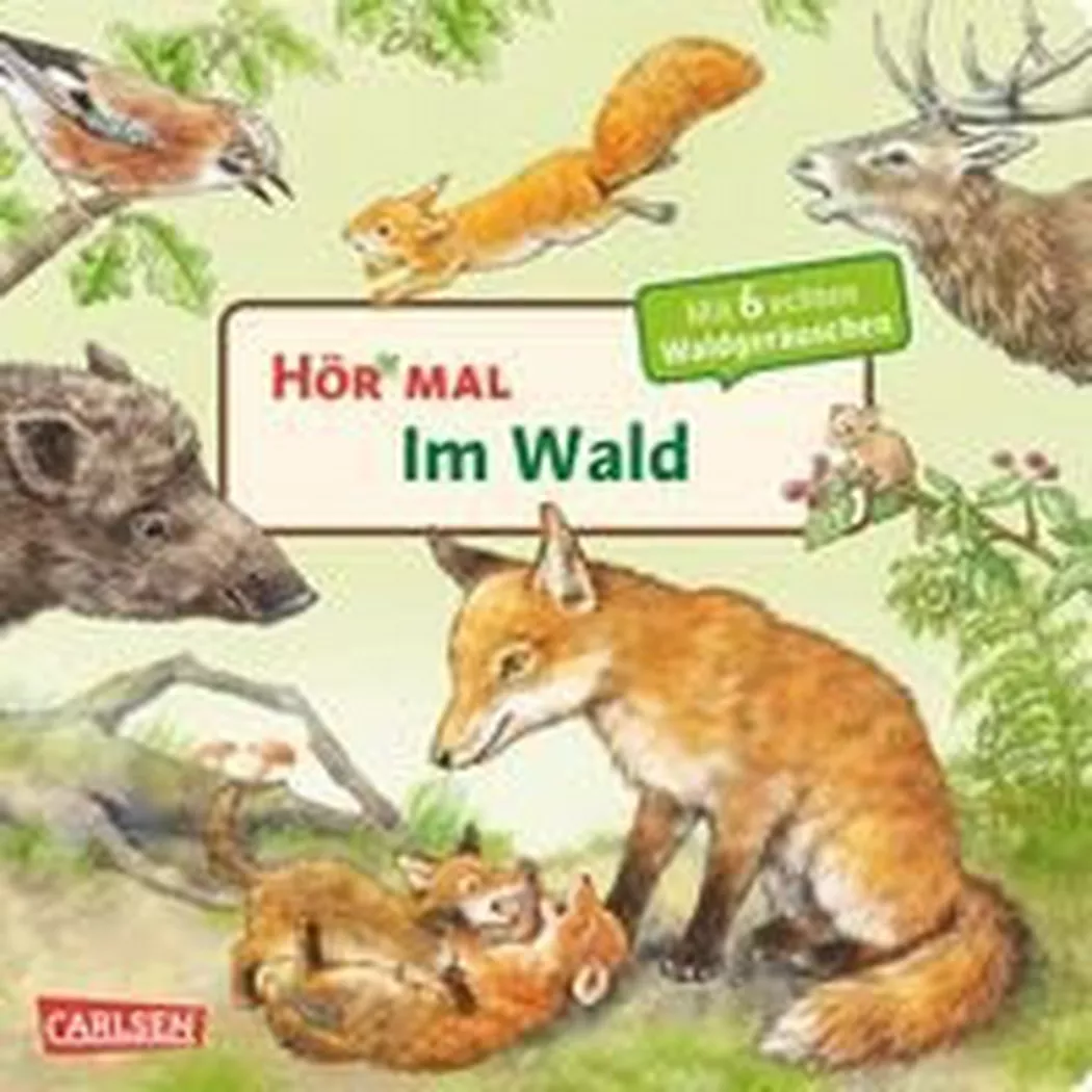 Carlsen - Hör mal (Soundbuch): Im Wald, Möller, Anne; Anne (Illustrationen)