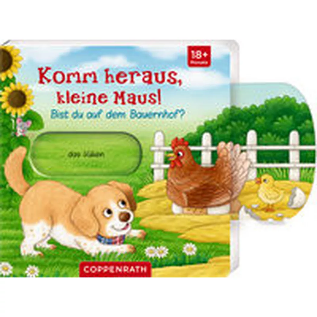 Coppenrath - Komm heraus, kleine Maus!: Bist du auf dem Bauernhof?, Warnecke, Ruby (Illustrationen)
