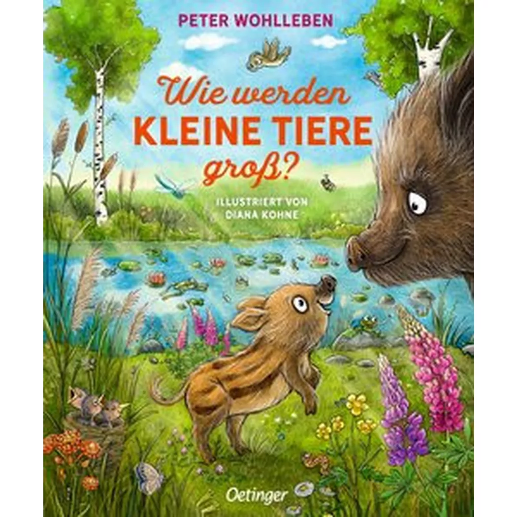 Oetinger Verlag - Wie werden kleine Tiere groß?, Wohlleben, Peter; Kohne, Diana (Illustrationen)