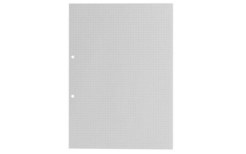 Office Focus Heftblatt FSC A4, Kariert, Grau, 2-fach gelocht