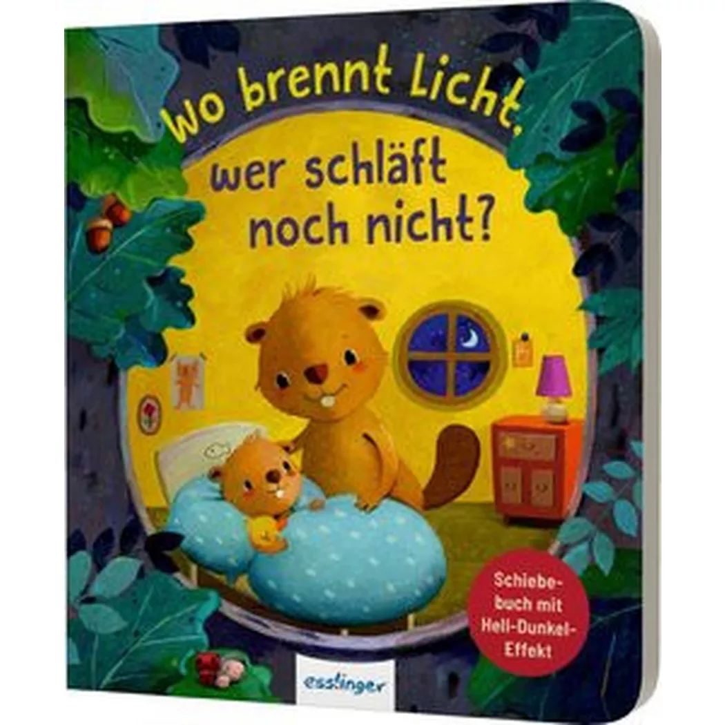 Thienemann - Wo brennt Licht, wer schläft noch nicht?, Kiel, Anja; Rachner, Marina (Illustrationen)