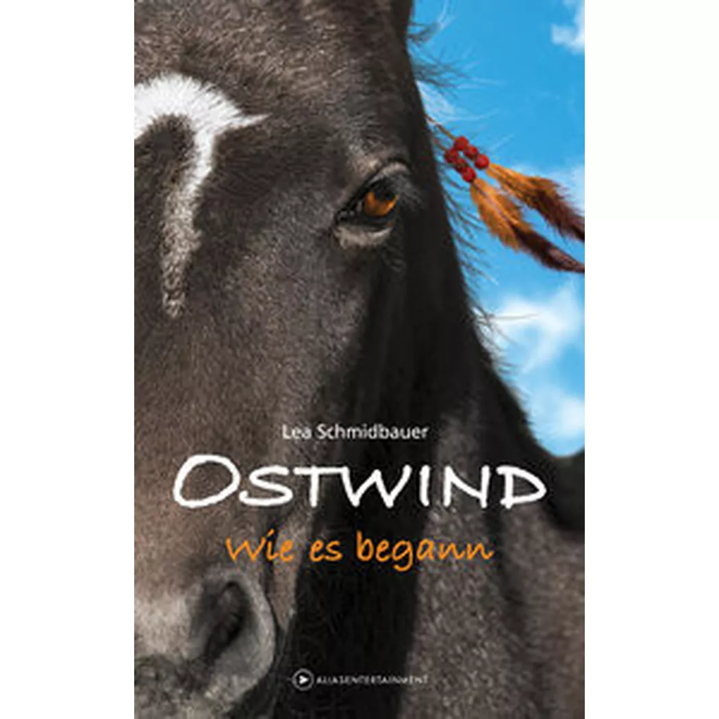 cbj Jugendbuch - OSTWIND Wie es begann, Schmidbauer, Lea